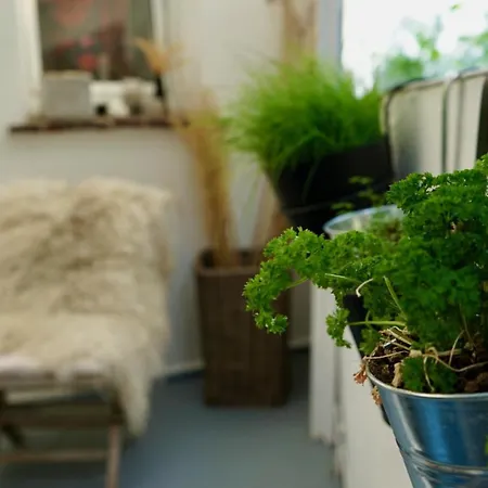 Interior - 5 Min Zum Bhf, Ruhig, Modern, Urban - Zentral, Veranda & Parkplatz,