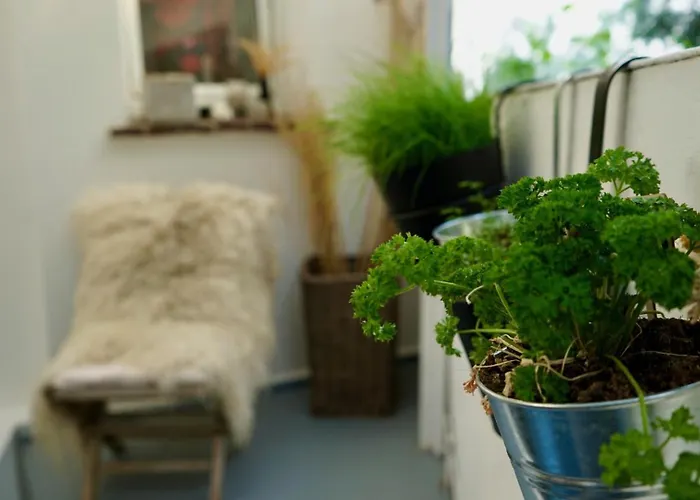 Interior - 5 Min Zum Bhf, Ruhig, Modern, Urban - Zentral, Veranda & Parkplatz,